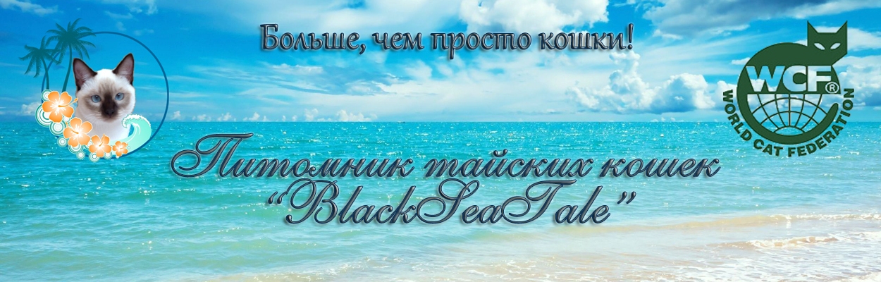 Питомник тайских кошек 